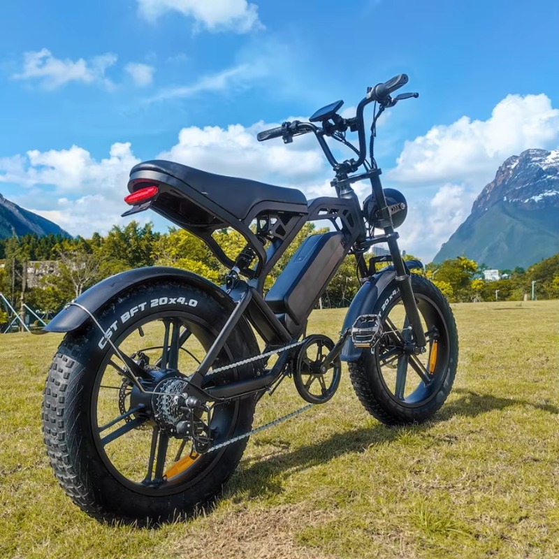 YTYIN 2024 Bicicletta Elettric - Folding Electric Scooter recensione e prezzo