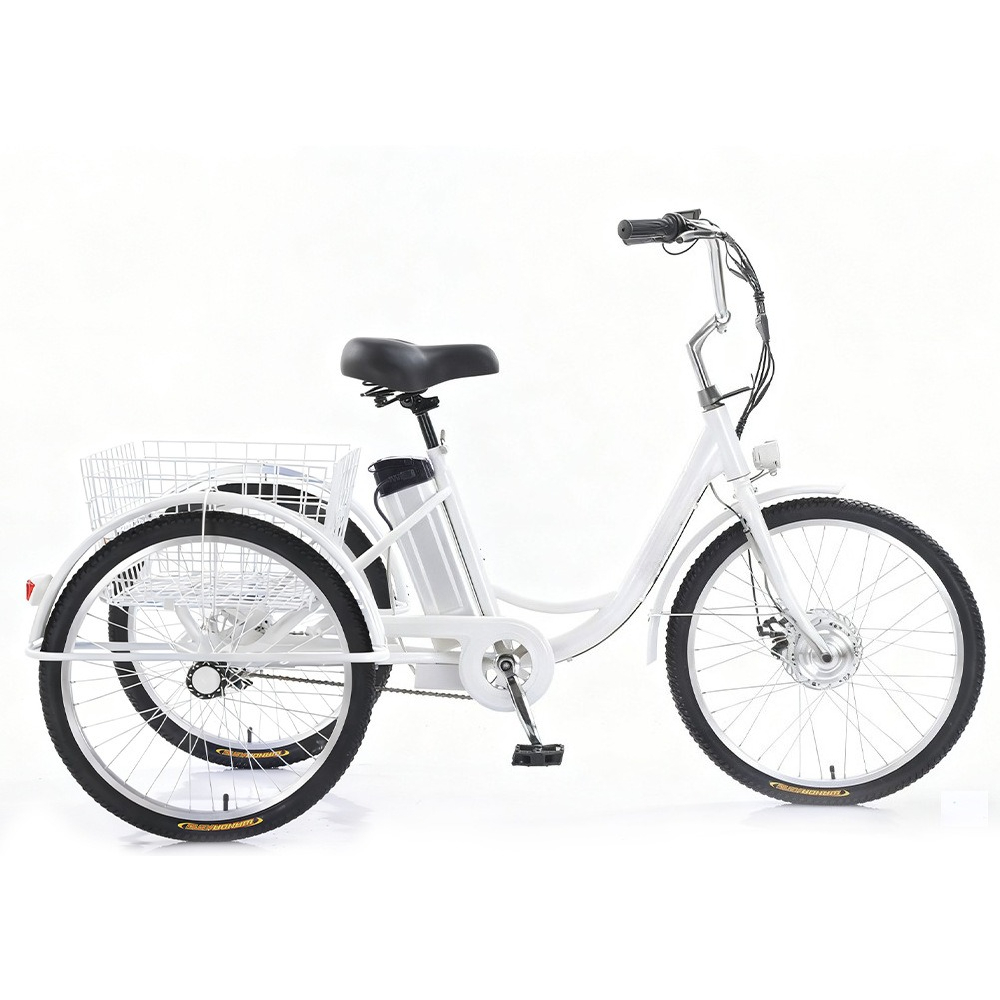 Triciclo Elettrico da 24