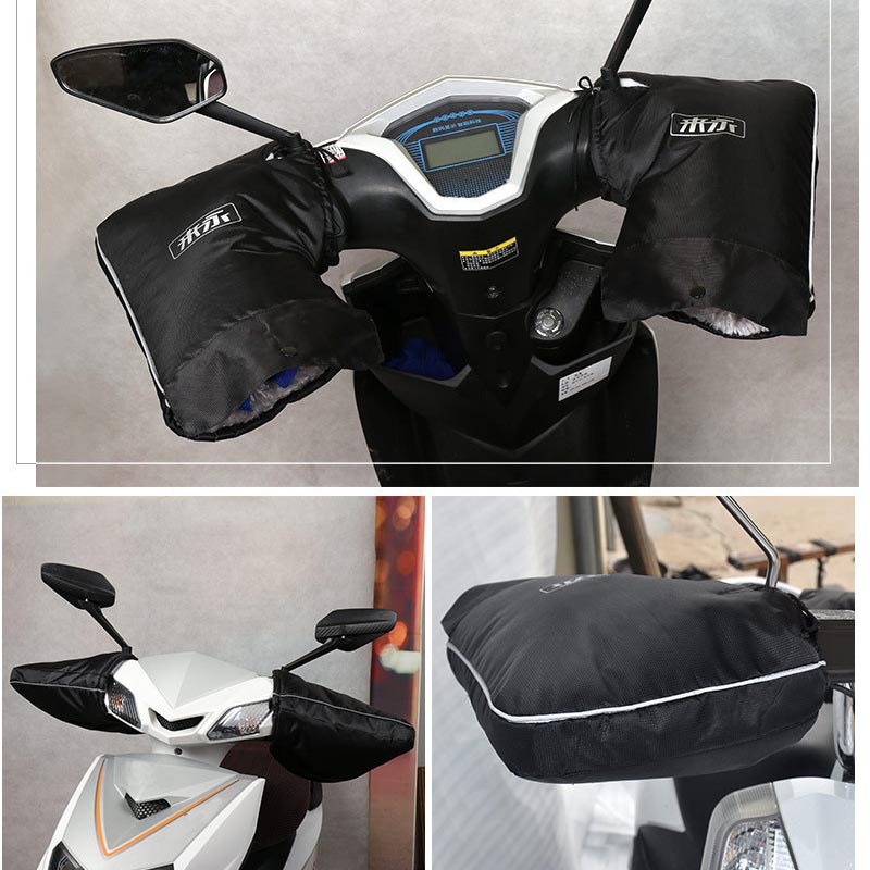 Guanti invernali per bici elet - Electric Scooter Rain Cover recensione e prezzo